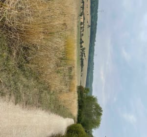 La boucle de Montenoy par Faulx et le GR5 - Montenoy - 3