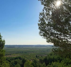 Vers Montouliers - Argeliers - 3