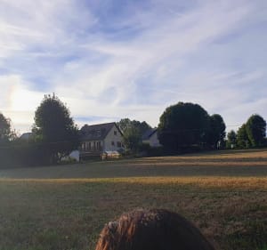 Boucle Lavastrie et vue sur barrage de Grandval - Neuvéglise-sur-Truyère - 4