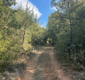 Circuit de l’Eouvière - Montferrat - 5