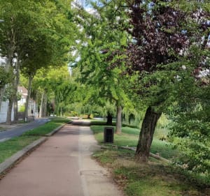Bords de Marne - Saint-Maur-des-Fossés - 3