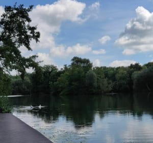 Bords de Marne - Saint-Maur-des-Fossés - 5
