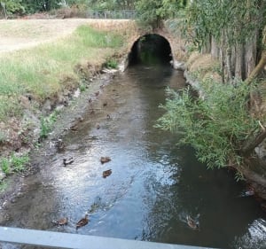 Sentier urbain du CATORIVE à BETHUNE - Béthune - 5