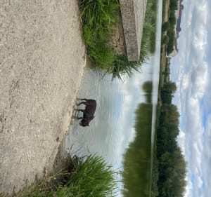 Tour à Magny - Magny-le-Hongre - 3