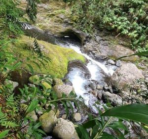 La cascade blanche - 5
