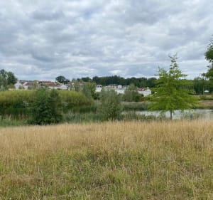 Tour à Magny - Magny-le-Hongre - 5