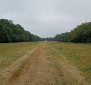 Polder de Combrit - Axelle - 3