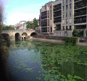 Metz Centre. le Parc aux Cygnes et le Plan d'eau - Metz - 3