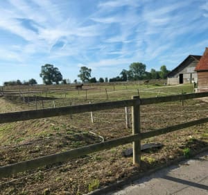 A la rencontre de la campagne normande - Criel-sur-Mer - 4