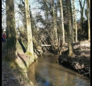 En passant par la chapelle des Prés - Dominique - 4