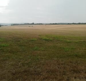 Balade par la bergerie - Roches-sur-Marne - 5