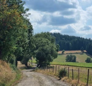 Visite d'Allègre en passant par le chemin de Monchaud - Monlet - 3