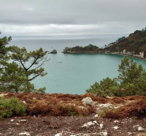 Rando le Tour du cap de la chèvre à Crozon - Crozon - 3