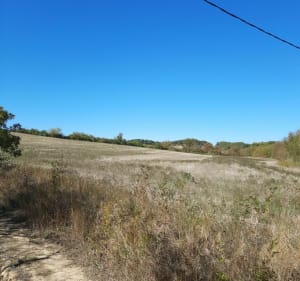 Chemin Penautier Villemoustaussou - Villemoustaussou - 3