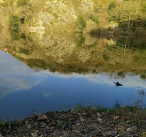 Belle randonnée en Vallée de Néal - Plouasne - 5