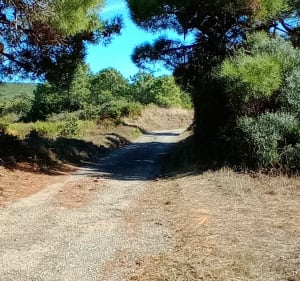Saint André de Roquelongue, le Coude à VTT - Jean-jacques - 3
