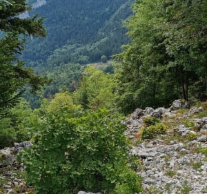 Petite balade à faire en famille - Villard-de-Lans - 3