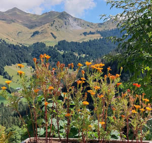 Promenade aux Bauds - Morzine - 3