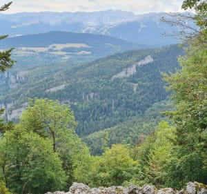Petite balade à faire en famille - Villard-de-Lans - 4