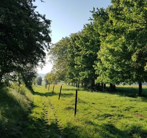 Le sentier des Pierres du Diable - Acq - 3