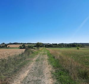 Pen Bé-Assérac-lus via het strand en het platteland - Assérac - 5