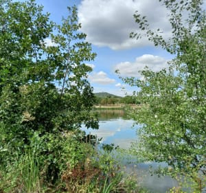 Belle balade aller - retour de Vandoeuvre à Metz - Vandœuvre-lès-Nancy - 5
