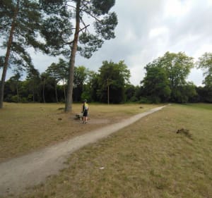 Eau et verdure du côté de Saint-Mammes et Fontainebleau - Saint-Mammès - 3
