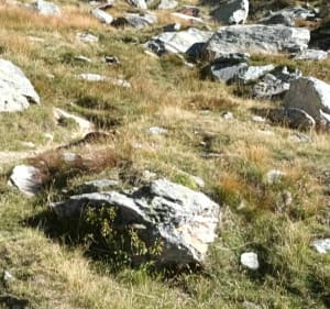 Col de la Masse avec détour par le Rateau  d'Aussois - Villarodin-Bourget - 4
