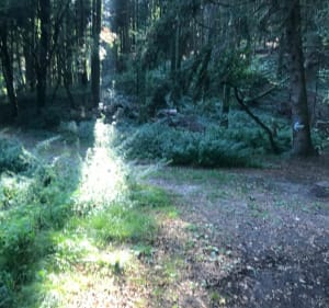 Le sentier du loup garou - Amange - 4