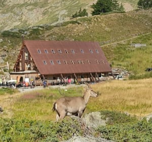TMB: Mottets-berghut - Monte Bianco-berghut langs het Miage-meer - Bourg-Saint-Maurice - 3