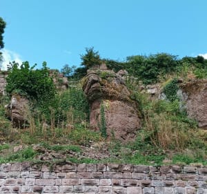Château de Guirbaden depuis Heiligenberg-Mollkirch - Mollkirch - 3