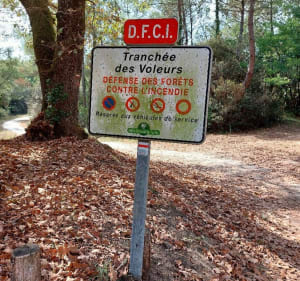Le chemin des demoiselles - La Tremblade - 3
