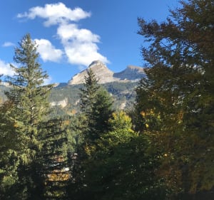 Balade facile dans les sous-bois de Corrençon-en-Vercors - Corrençon-en-Vercors - 4