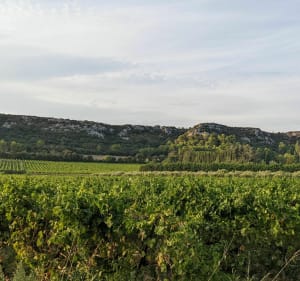 De Saint Bonnet du Gard au Pont du Gard - Saint-Bonnet-du-Gard - 3