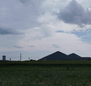 Belle Balade champêtre et belle découverte de la ferme - Loos-en-Gohelle - 5