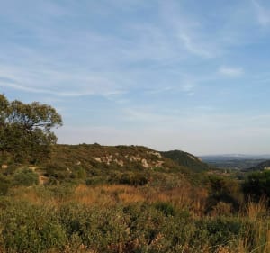 De Saint Bonnet du Gard au Pont du Gard - Saint-Bonnet-du-Gard - 4