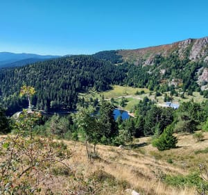 Des Hautes Huttes au Altenkreahkopf - Orbey - 5