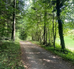 Balade entre Nods et Chasnans - Les Premiers-Sapins - 3