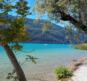 Wandeling "Langs het water" in Aix-les-Bains - Aix-les-Bains - 3