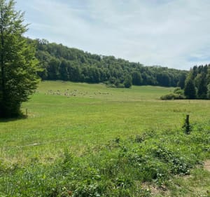 Balade entre Nods et Chasnans - Les Premiers-Sapins - 4