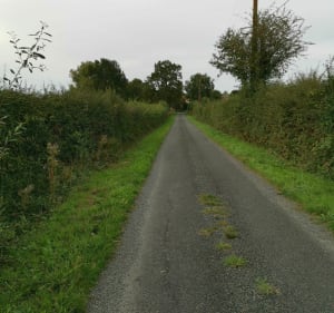 Chanteloup les bois entre campagne et forêt - Jerome - 4