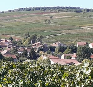Circuit d''Azé - Azé - 5