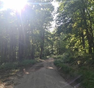 Entre forêt et petite ville - Besançon - 3