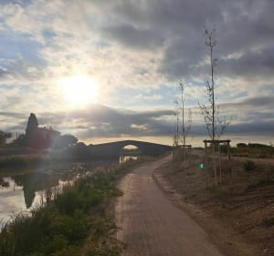 Vers le plateau de Montouliers - Sallèles-d'Aude - 4