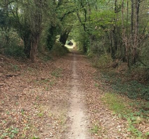 Boucle Parné-Entrammes-Parné - Parné-sur-Roc - 4