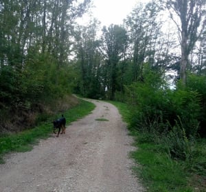 Les champs de la Seille - Maryline - 3