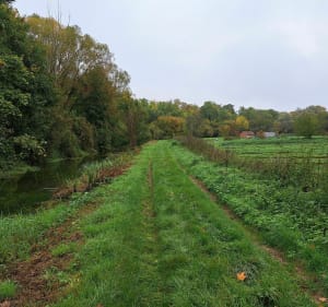 Balade le long des Cressonnières - Le Mérévillois - 3