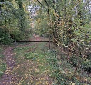 Balade le long des Cressonnières - Le Mérévillois - 5