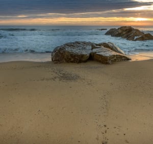 De l'anse des moines à la Baie de Cayola - Les Sables-d'Olonne - 3