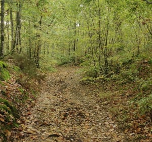 Les Bernadettes - Monthou-sur-Bièvre - 4